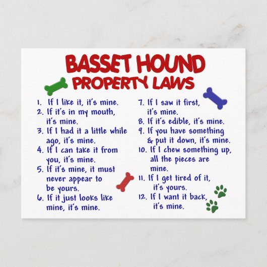 BASSET HOUND Property Wetten 2 Briefkaart (Voorkant)