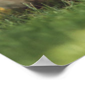 Basset Hound Puppies actief Poster (Hoek)