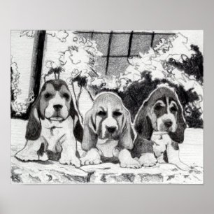 Basset Hound Puppies Dog Portret Poster
