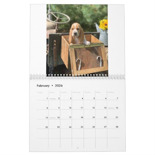 Basset hound puppies kalender (Feb 2026)
