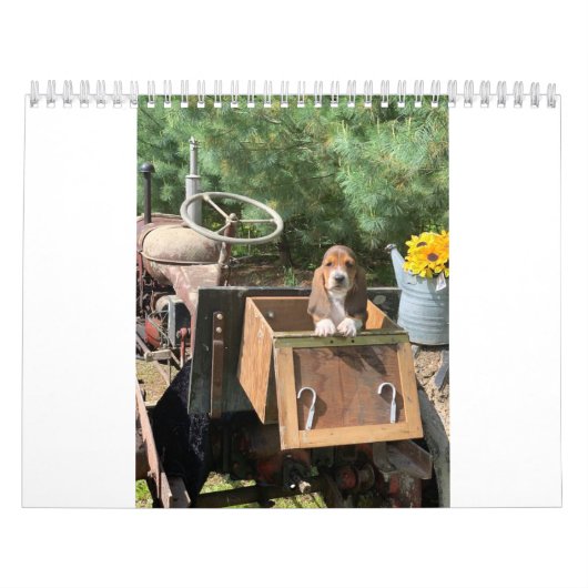Basset hound puppies kalender (Hoes)
