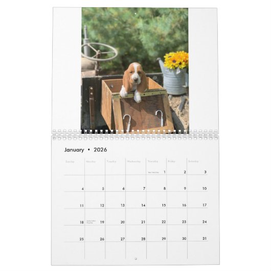 Basset hound puppies kalender (Jan 2026)