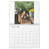 Basset hound puppies kalender (Jan 2027)