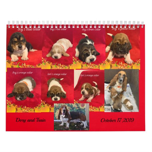 Basset hound puppies kalender (Hoes)