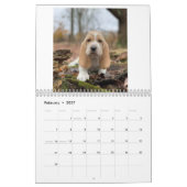 Basset hound puppies kalender (Feb 2027)