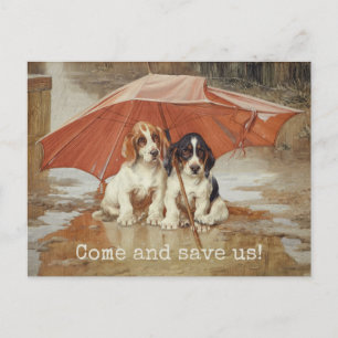 Basset hound-puppies onder paraplu CC0181 Trood Briefkaart
