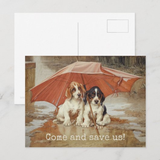 Basset hound-puppies onder paraplu CC0181 Trood Briefkaart (Voorkant / Achterkant)