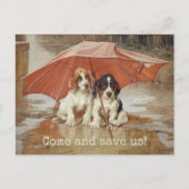 Basset hound-puppies onder paraplu CC0181 Trood Briefkaart (Voorkant)