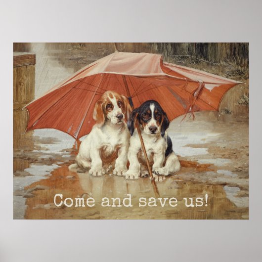 Basset hound-puppies onder paraplu CC0867 Trood Poster (Voorkant)