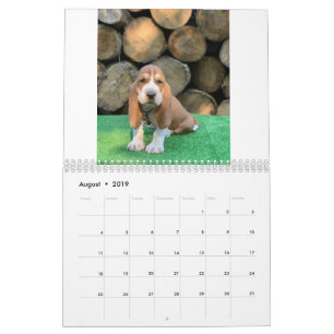 Basset hound puppy agenda kalender
