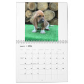 Basset hound puppy agenda kalender (Mar 2026)