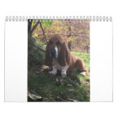 Basset hound puppy agenda kalender (Hoes)