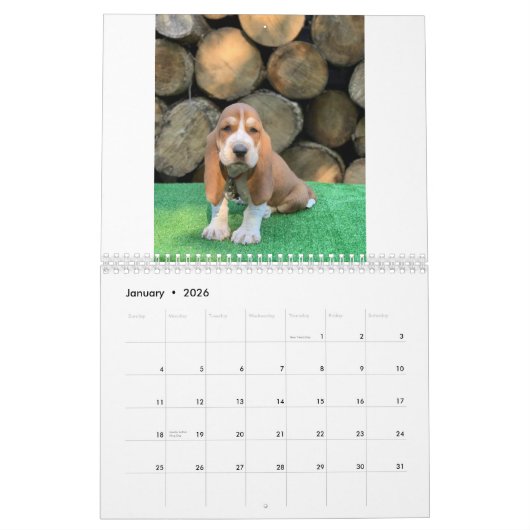 Basset hound puppy agenda kalender (Jan 2026)
