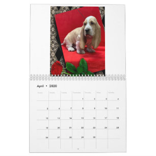 Basset hound puppy agenda kalender