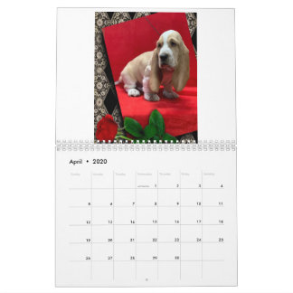 Basset hound puppy agenda kalender