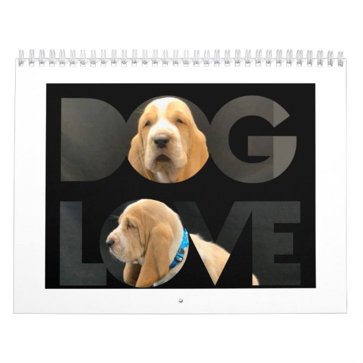 Basset hound puppy agenda kalender (Hoes)