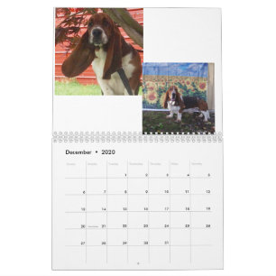 Basset hound puppy agenda kalender