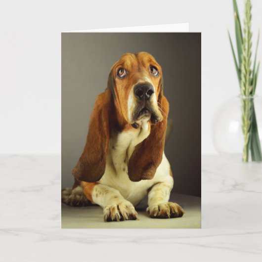 Basset Hound Puppy Dog Blank Note Card Kaart (Voorkant)