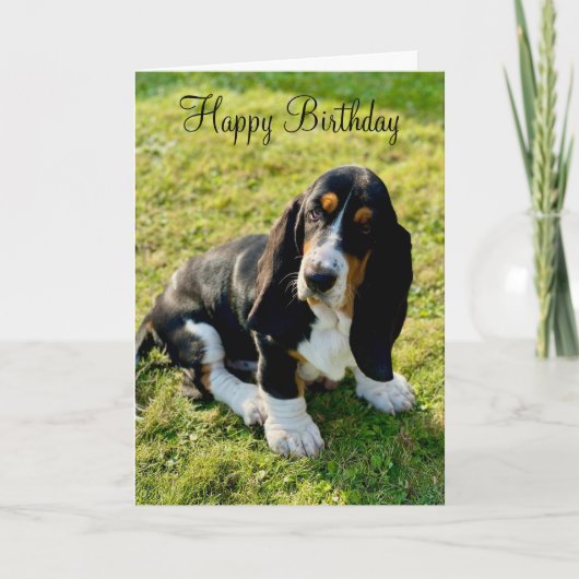 Basset Hound Puppy Hond Gelukkige Verjaardag Kaart (Voorkant)