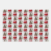 Basset Hound Puppy in Holiday Gift Bag Inpakpapier Vel (Voorkant 2)