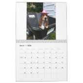 Basset Hound-puppy-kalender Kalender (Mar 2026)