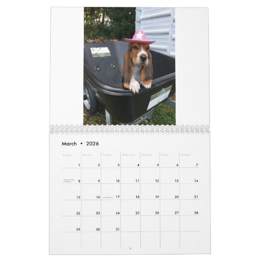 Basset Hound-puppy-kalender Kalender (Mar 2026)