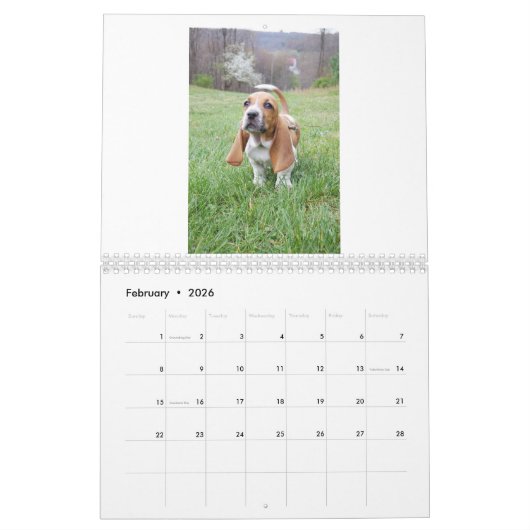 Basset Hound-puppy-kalender Kalender (Feb 2026)