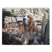 Basset Hound-puppy-kalender Kalender (Hoes)