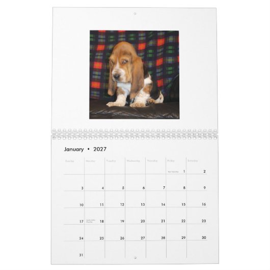 Basset Hound-puppy-kalender Kalender (Jan 2027)