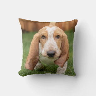 Basset Hound Puppy Loopt Kussen