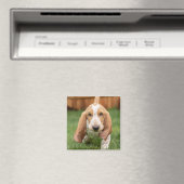Basset Hound Puppy Loopt Magneet (Insitu (Vaatwasser))