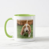 Basset Hound Puppy Loopt Mok (Links)