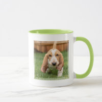 Basset Hound Puppy Loopt
