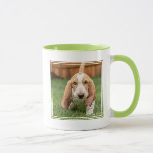 Basset Hound Puppy Loopt Mok