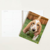 Basset Hound Puppy Loopt Planner (Display)