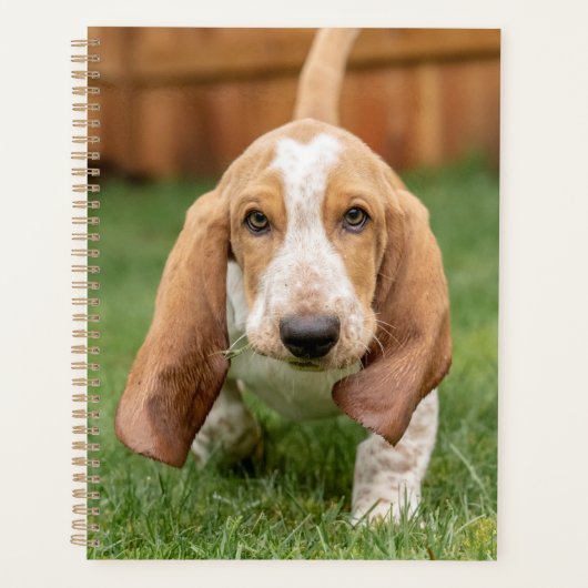 Basset Hound Puppy Loopt Planner (Voorkant)