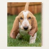 Basset Hound Puppy Loopt Planner (Achterkant)