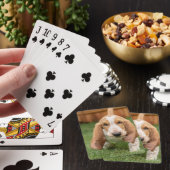 Basset Hound Puppy Loopt Pokerkaarten (Insitu)