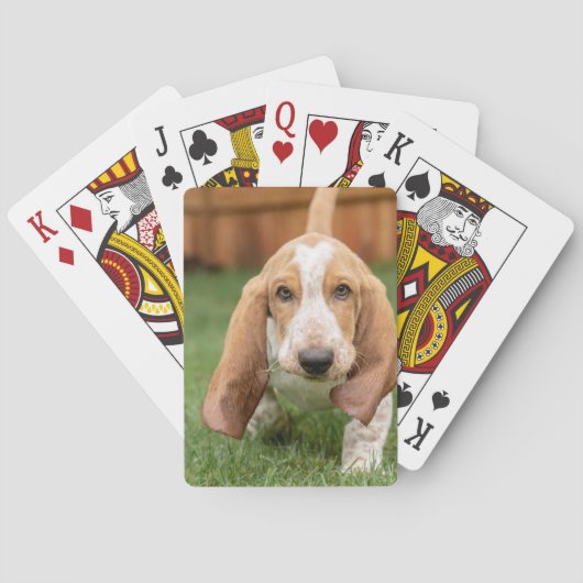Basset Hound Puppy Loopt Pokerkaarten (Achterkant)
