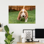 Basset Hound Puppy Loopt Poster (Thuiskantoor)