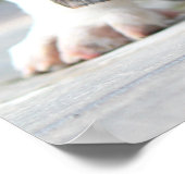 Basset Hound Puppy Poster (Hoek)