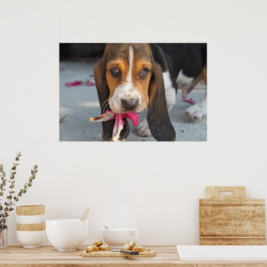 Basset Hound Puppy Poster (Keuken)