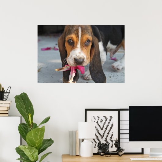 Basset Hound Puppy Poster (Thuiskantoor)