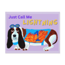 Basset Hound Racehond NOEM ME MAAR BLIXEM!