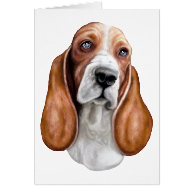 Basset Hound Red en White (Voorkant)