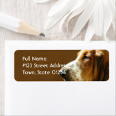 Basset Hound Return Address Label (Insitu)