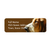 Basset Hound Return Address Label (Voorkant)