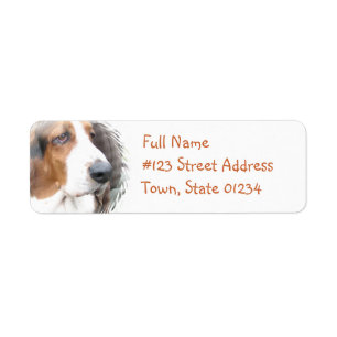 Basset Hound Return Address Label