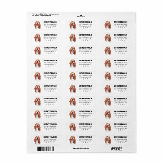 Basset Hound Return Address Labels (Full Sheet)