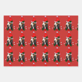 Basset Hound Santa Hat Kerstmis Inpakpapier Vel (Voorkant)